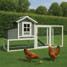 Hühnerhaus Kleintierstall aus