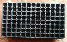 Topfplatten-Paket 10 St a. 104 Pflanz Anzucht/Aussaat Steckling Multitopfplatte