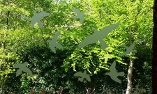 Vögel Aufkleber Vogelschutz