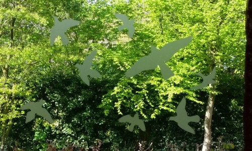 Stück vögel vogelschutz - 8,