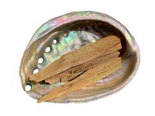 Abalone Paua Muschel mit Palo