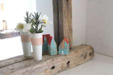 Spiegel  Schwemmholz Treibholz