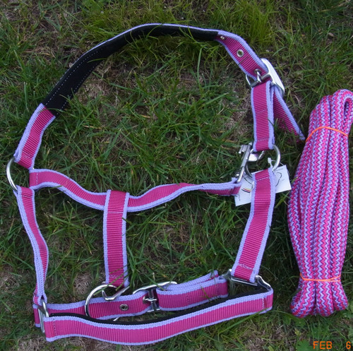 Set halfter strick shetty - set,