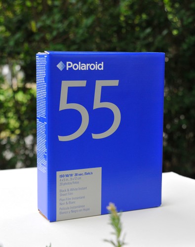Polaroid 55pn black and white - polaroid,