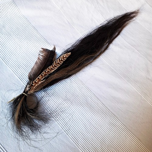 Horse tail usa redtail hawk - horse,