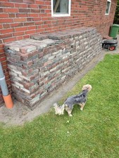 Alte Klinkersteine , ca 1200 Stück für 1500 Euro Zu Verkaufen