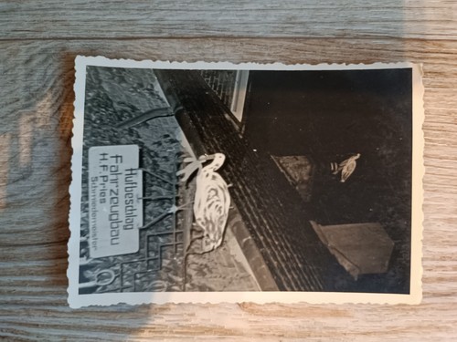 Altes foto hufbeschlag - foto,