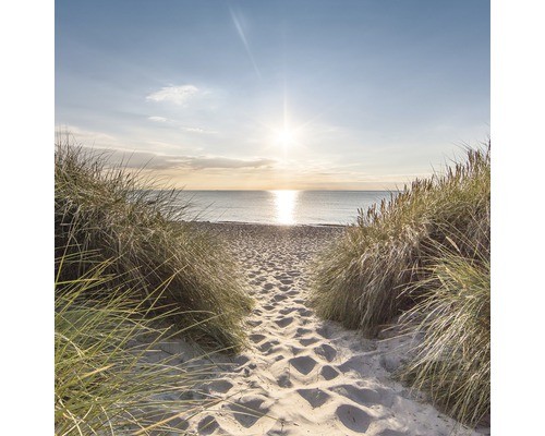 Glasbild wilder strand - wilder, ii
