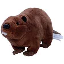 Cornelissen Süßer Biber