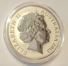 Australian Saltwater Crocodile