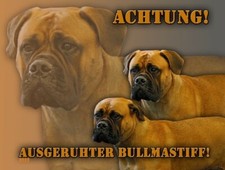 BULLMASTIFF Hundeschild