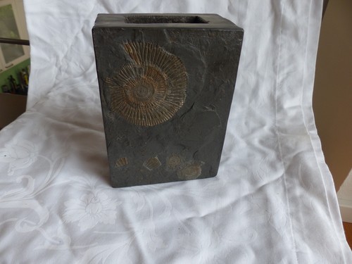 Vase aus stein mit ammoniten - aus,