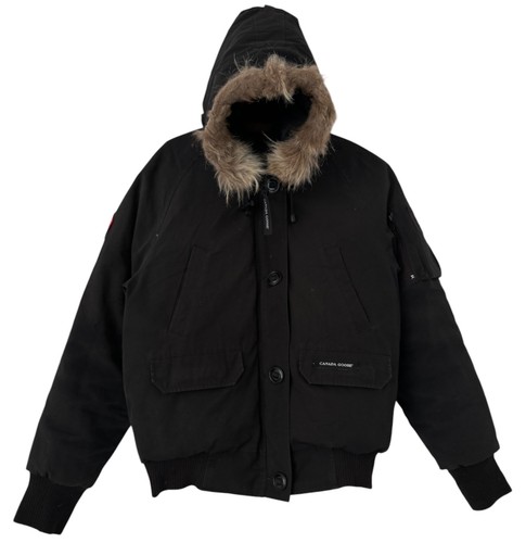 Canada goose chillwack - canada,