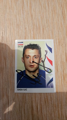 Panini sticker 2006 - panini, wm