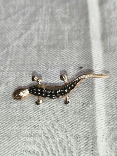 Antike salamander brosche - antike,