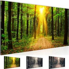 Wandbild Wald Landschaft Bild