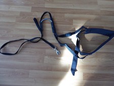 Joggingurt+Leine von Julius K9