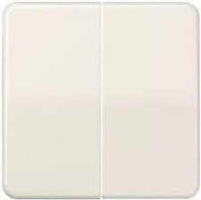 Jung Deckplatte CD595 - für