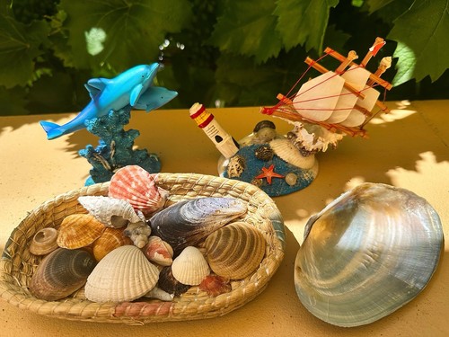 Maritimes deko set - maritimes, mit