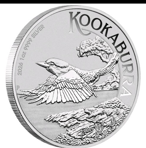 Australien kookaburra 2026 - kookaburra,
