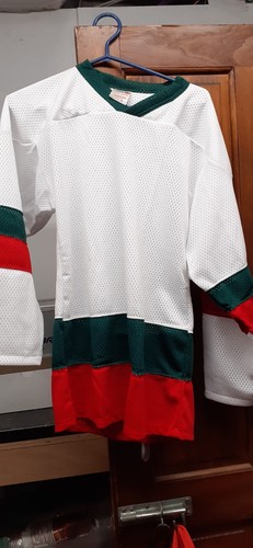 Eishockey rollhockey mesh - eishockey,