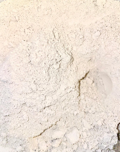 Kieselgur diatomaceous earth - kieselgur,