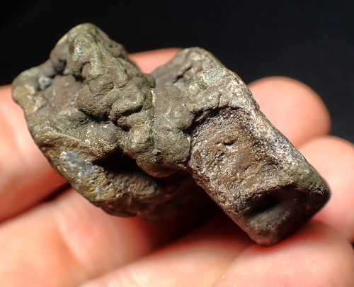 Fossil doppel ichthyosaurier - fossil,