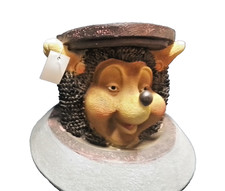 Garten  Igel Boden Gucker