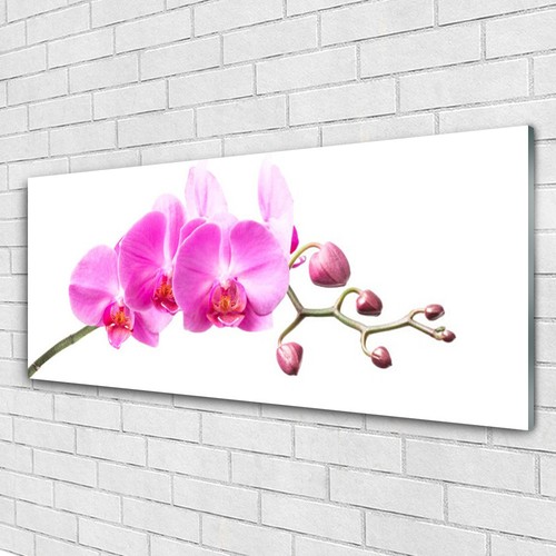 Glasbilder wandbild druck - wandbild,