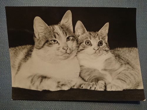Alte ansichtskarte postkarte - ansichtskarte,