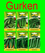 Gurken  F1 Samen Sortiment bitterstofffrei weiblich Salatgurke Freiland Saatgut