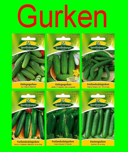 Gurken samen sortiment - ,