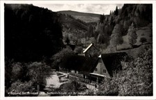 Ak Pokrzywna Wildgrund