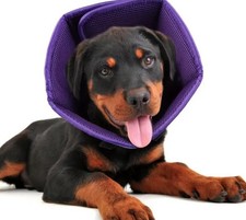 Halskrause für Hund  , Schutzkragen Hund,  Leckschutz Atmungsaktiver weich