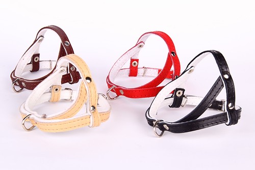 Echt leder hundegeschirr brown - hundegeschirr,