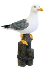 Möwe auf Holzsteg Poller