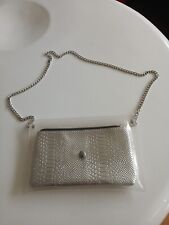Damen silber Tasche klein glänzend  in durchsichtiger Acryl -Tasche zum umhängen