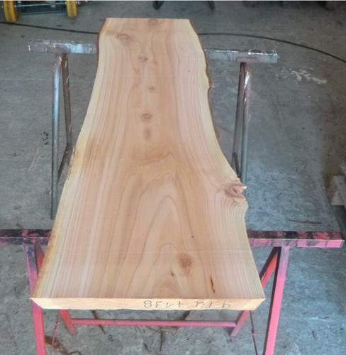 Thuja holz mammutbaum bohlen - thuja,