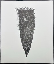 Original GÜNTHER UECKER