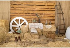 2,2x1,5m Vinyl Bauernhof