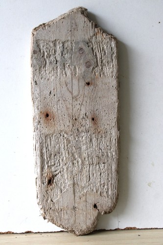 Treibholz schwemmholz - treibholz,