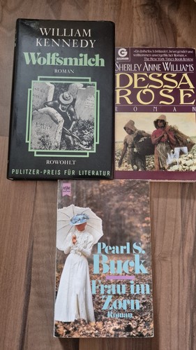 Buchpaket südstaaten romane - buchpaket,