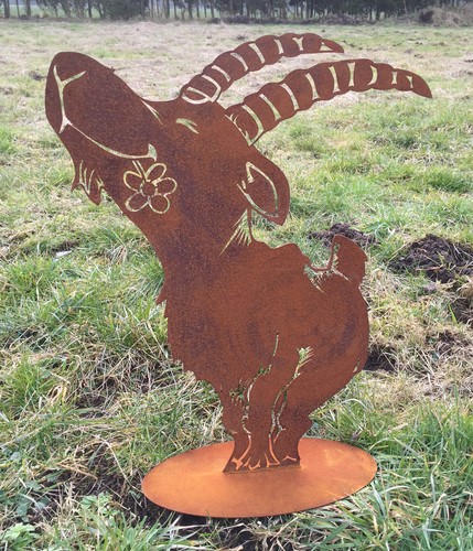 Steinbock mit blume cm - steinbock,