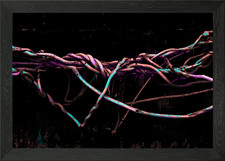 Psychedelische Wurzeln