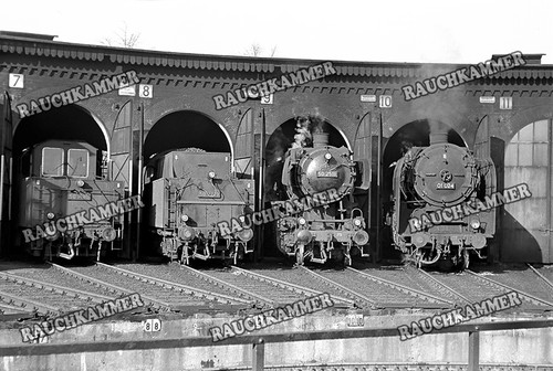 Fotoabzug 10x15 01 024 - 10x15,