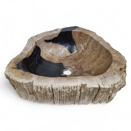 Versteinertes holz - versteinertes,
