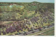 Rochester N.Y. Lilac time in Highland Park ngl 218.241