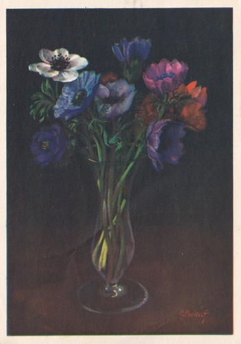 Künstler anemonen ernst - kÜnstler-ak,