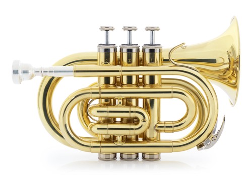Ware taschentrompete - b-ware, bb