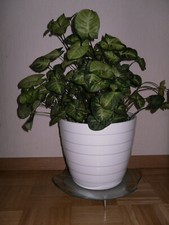 Blumenständer Glas  Blumenregal  Pflanzenständer Topf Kübel Pflanzen Untersetzer